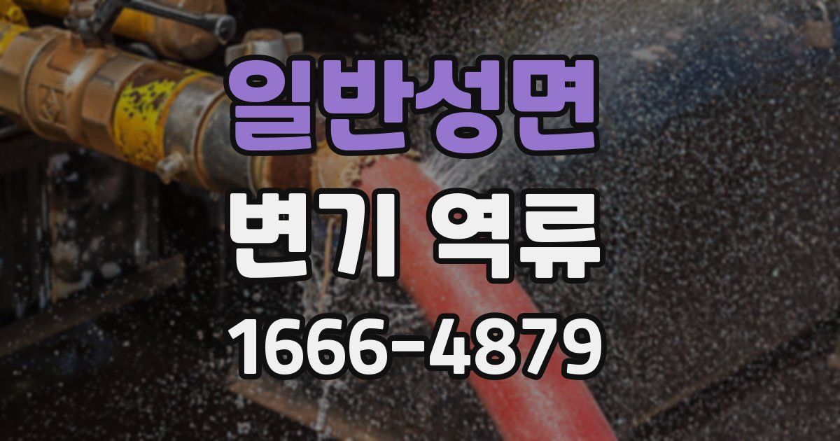 일반성면 변기 역류