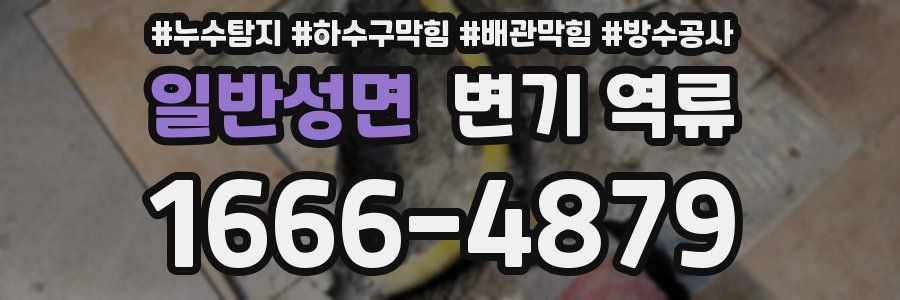일반성면 변기 역류