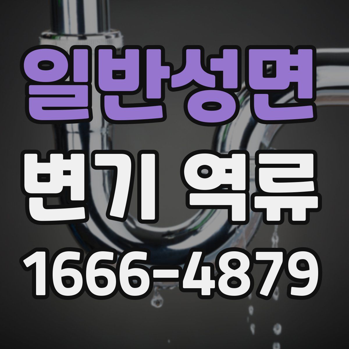 일반성면 변기 역류