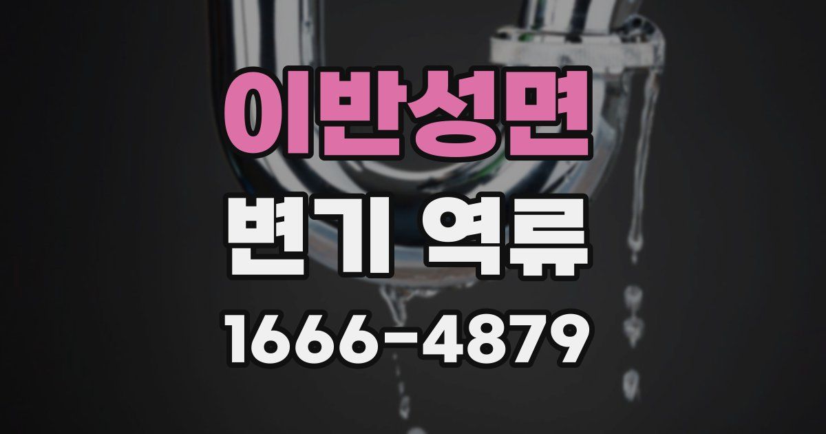 이반성면 변기 역류