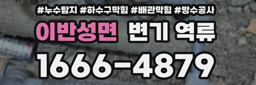 이반성면 변기 역류