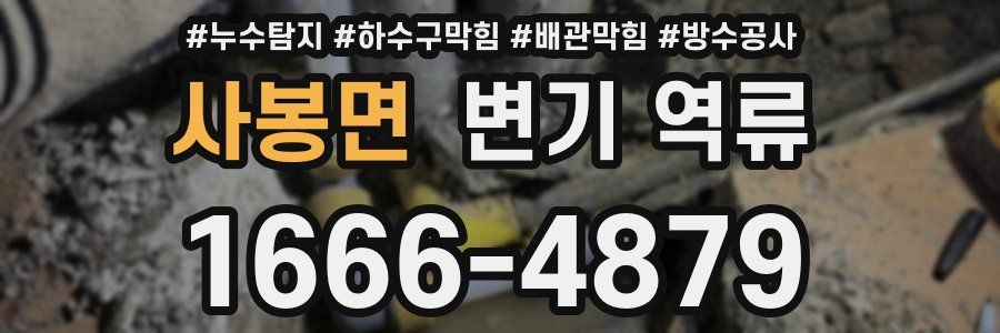 사봉면 변기 역류