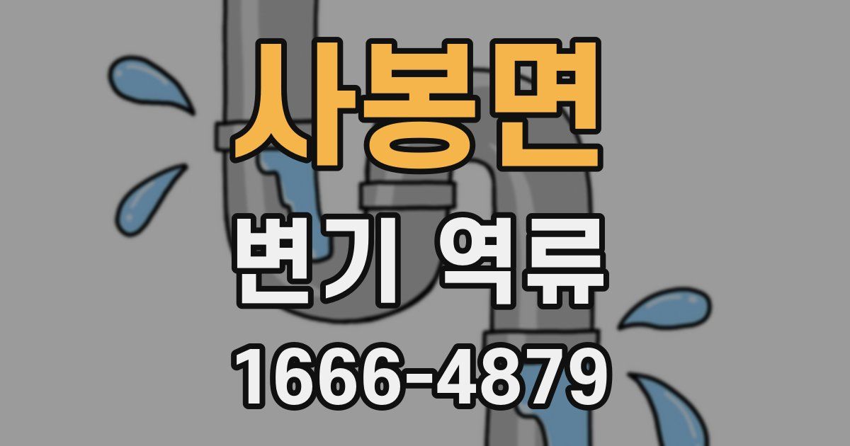 사봉면 변기 역류