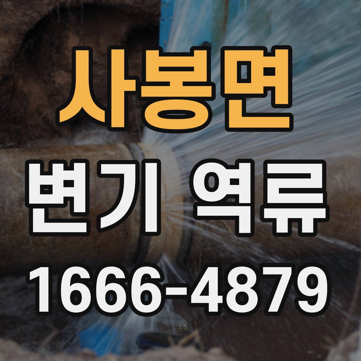 사봉면 변기 역류