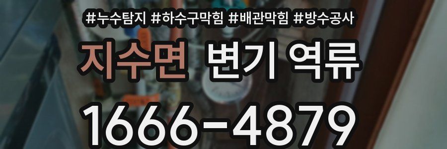 지수면 변기 역류