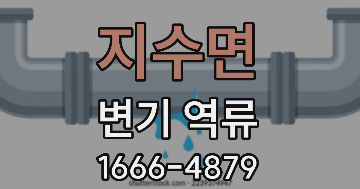 지수면 변기 역류
