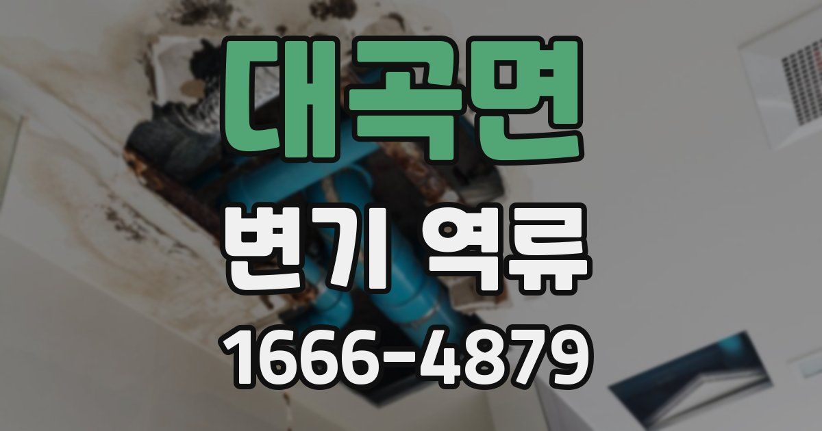 대곡면 변기 역류