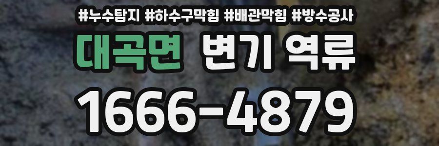 대곡면 변기 역류