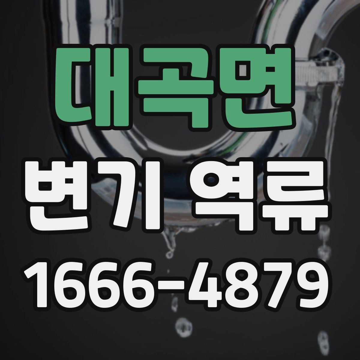 대곡면 변기 역류