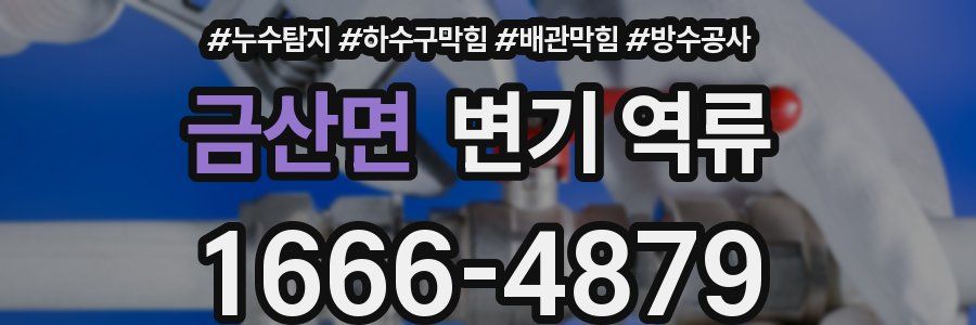 금산면 변기 역류