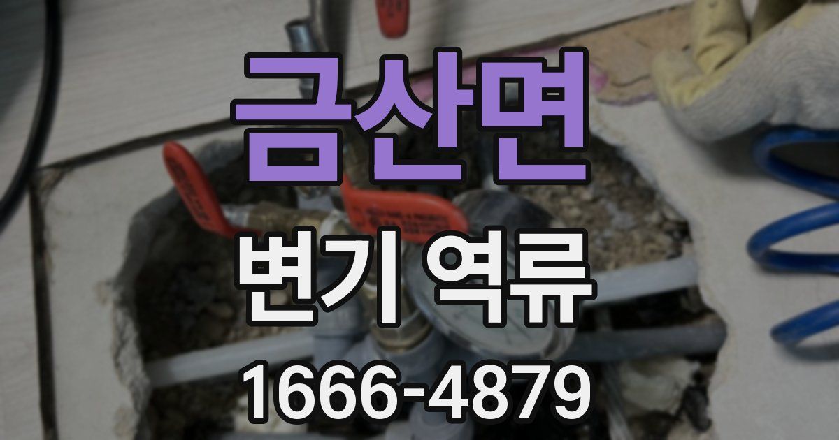금산면 변기 역류