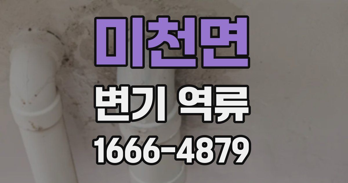 미천면 변기 역류