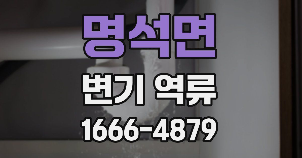 명석면 변기 역류