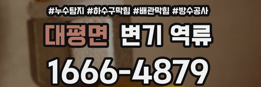 대평면 변기 역류