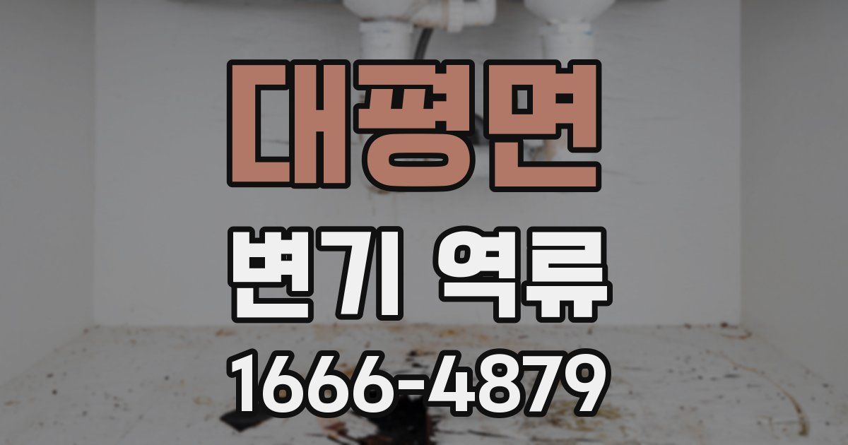 대평면 변기 역류