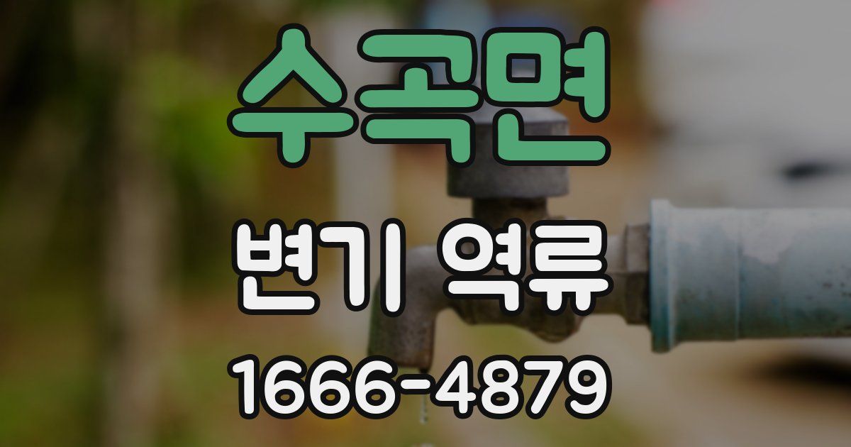 수곡면 변기 역류