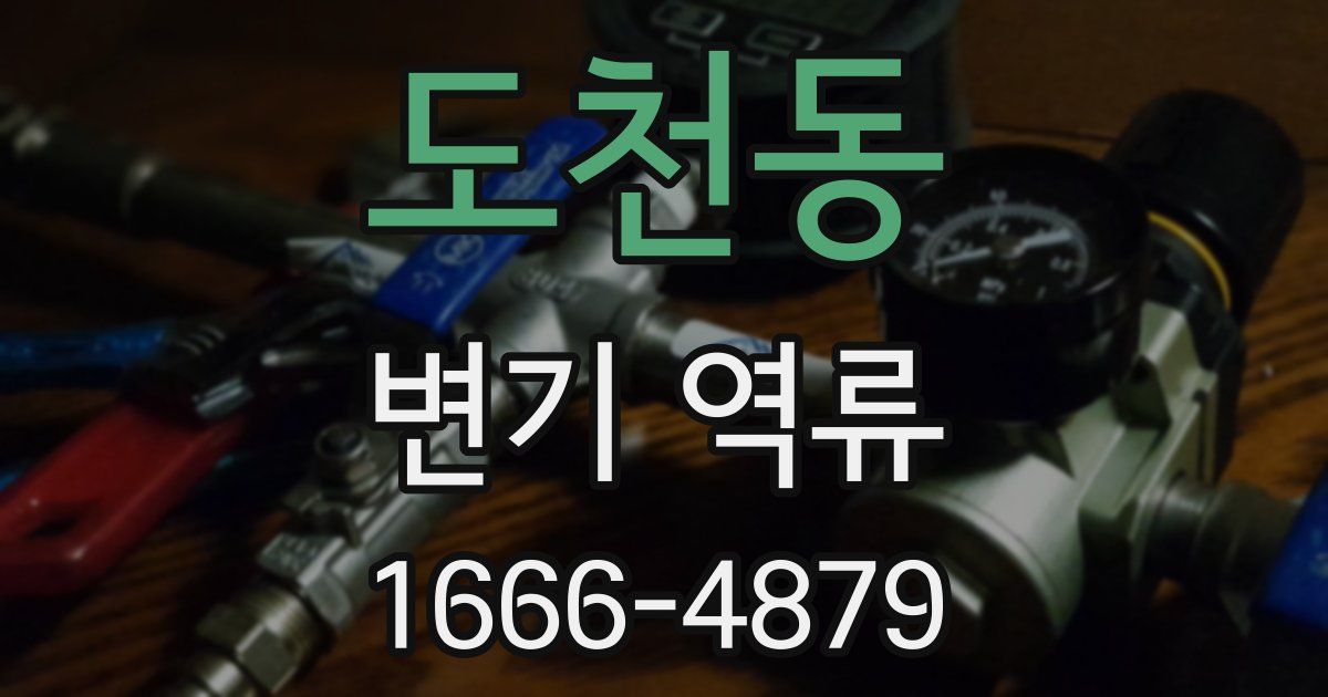 도천동 변기 역류