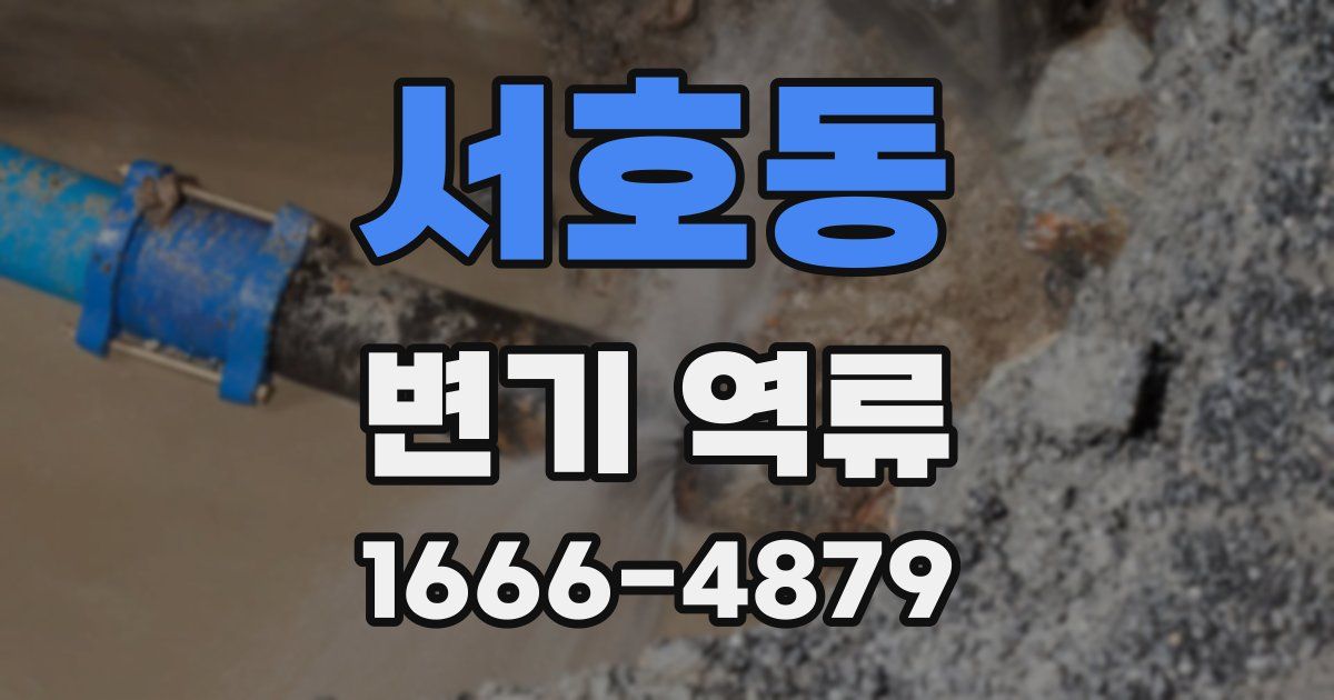 서호동 변기 역류