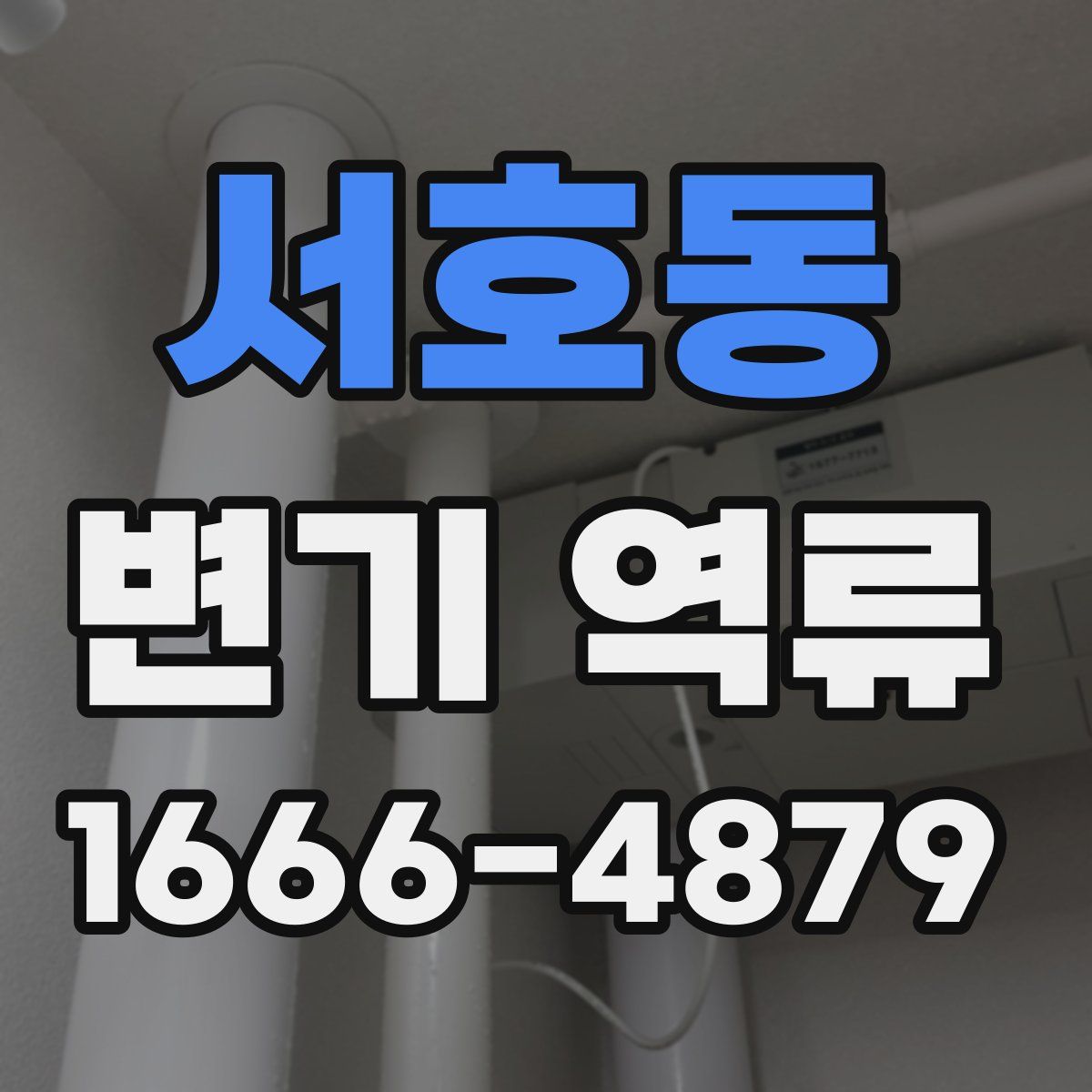 서호동 변기 역류