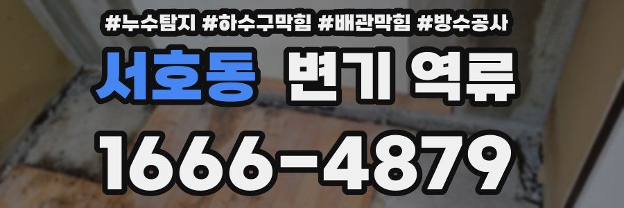 서호동 변기 역류