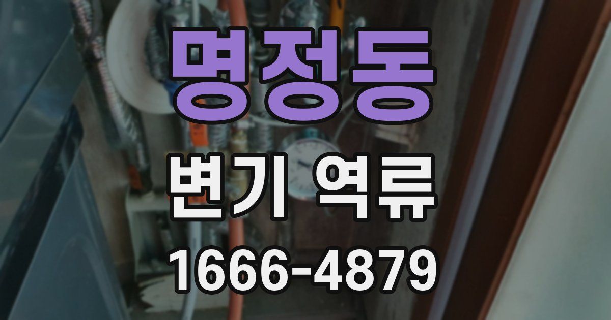명정동 변기 역류