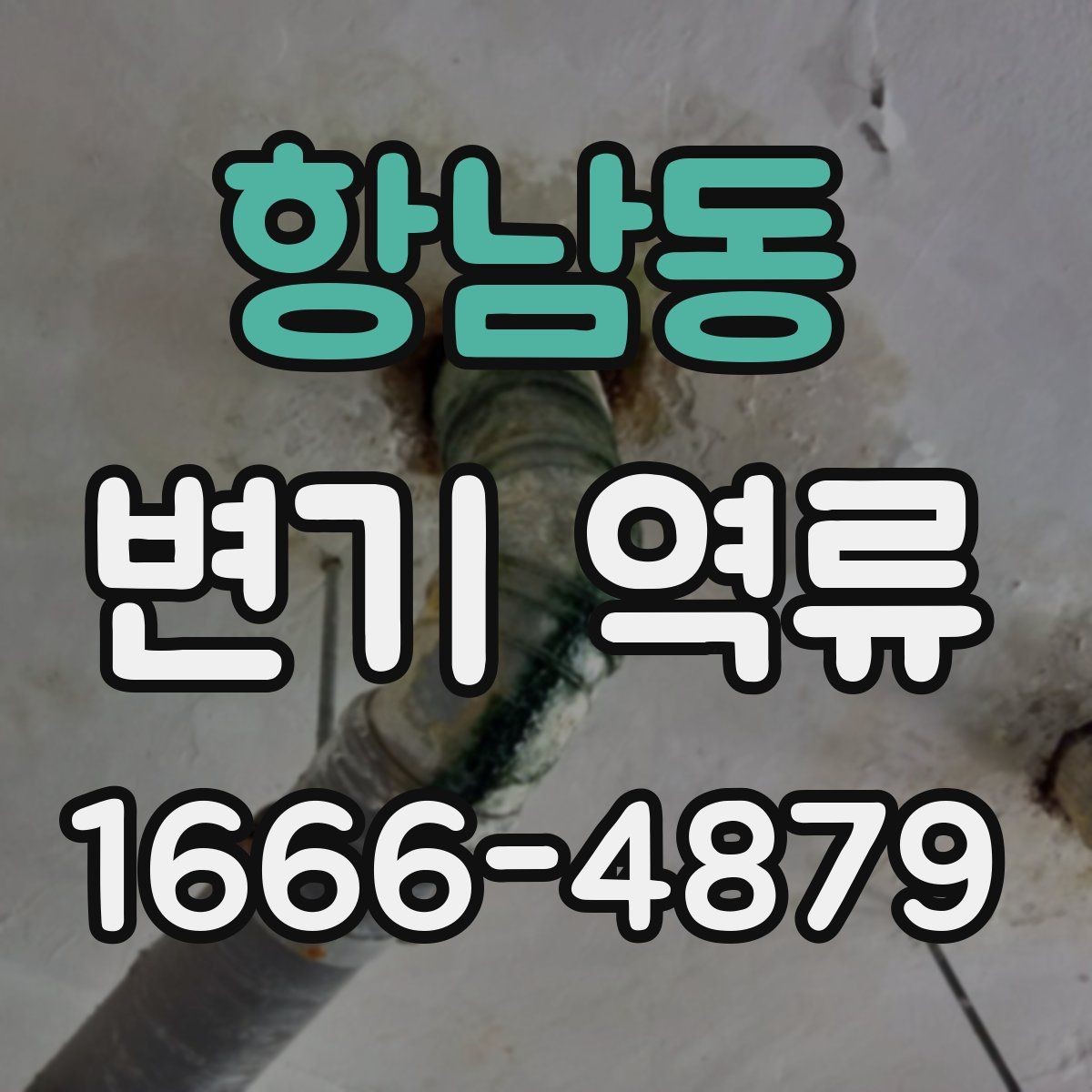 항남동 변기 역류 원인을 찾는 집안 점검 순서
