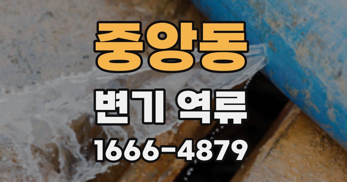 중앙동 변기 역류