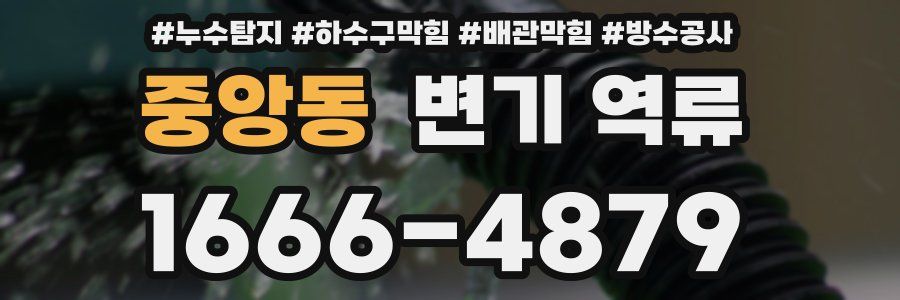 중앙동 변기 역류