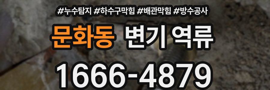 문화동 변기 역류