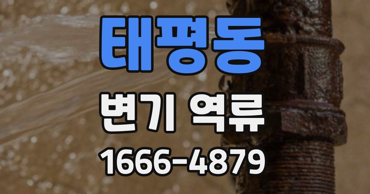 태평동 변기 역류