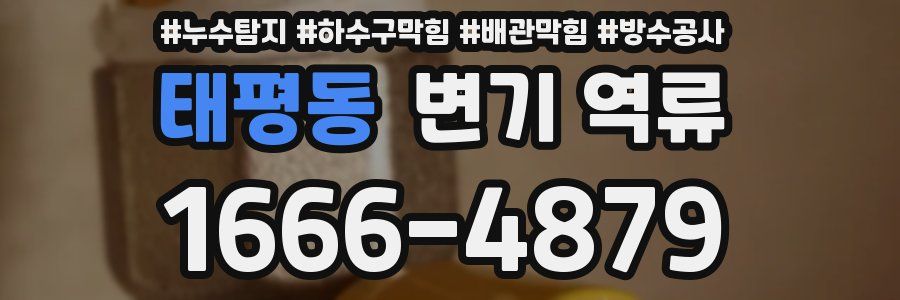 태평동 변기 역류