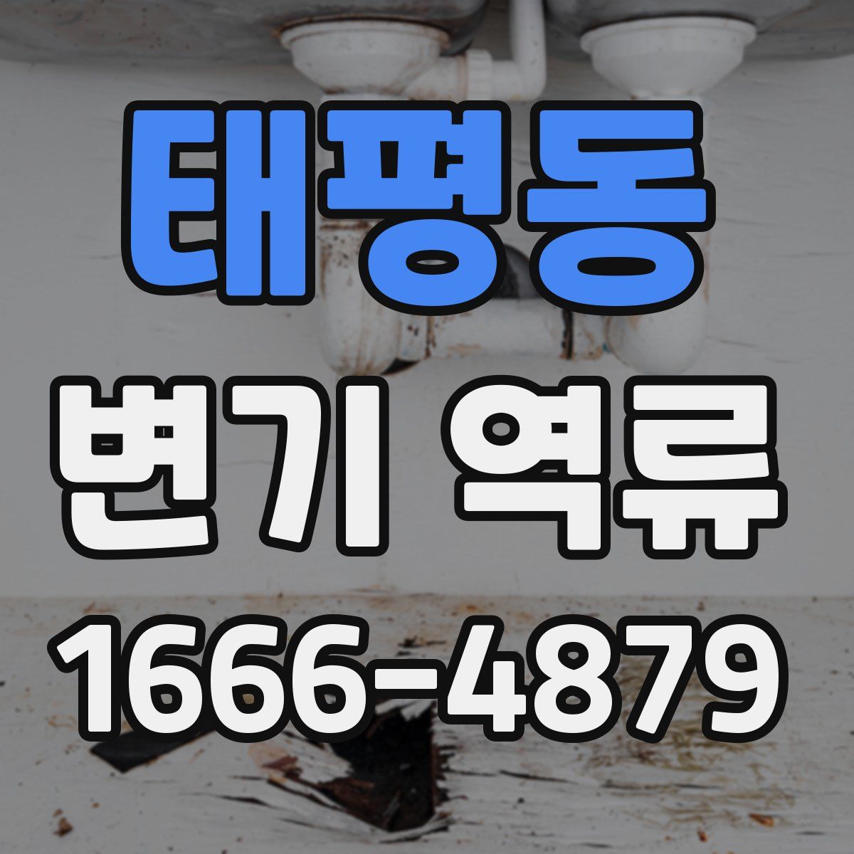 태평동 변기 역류