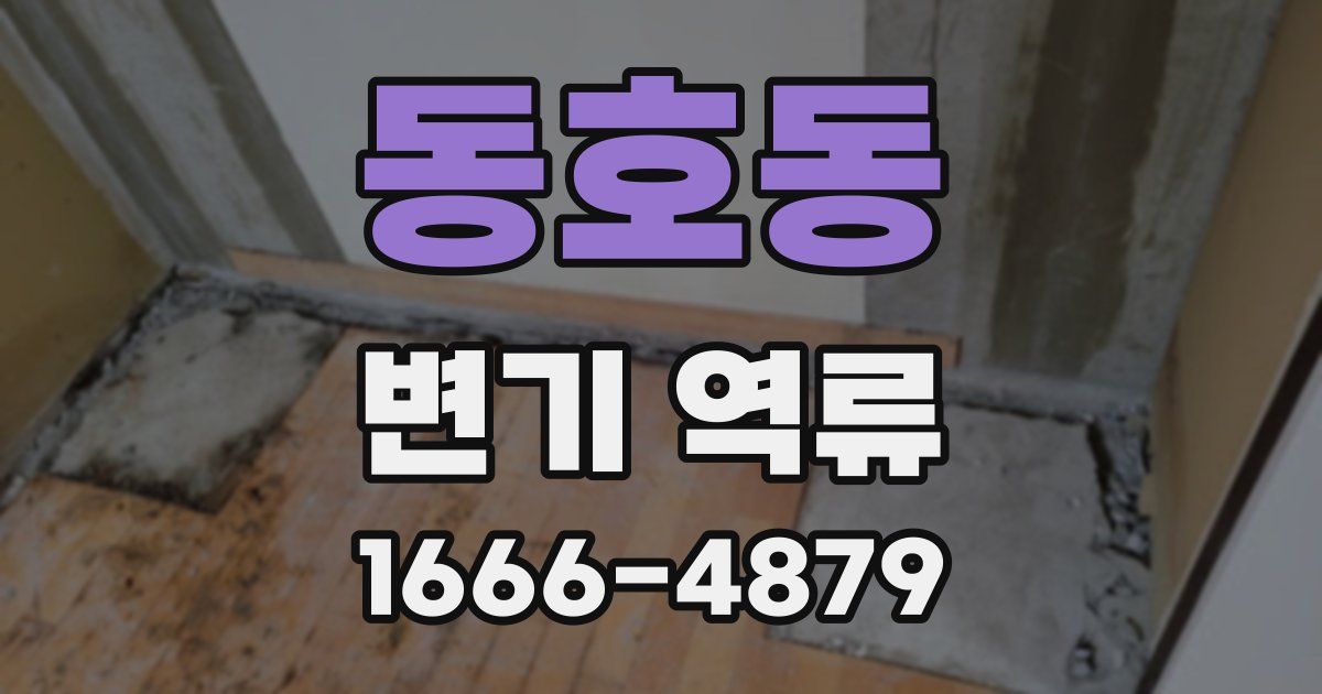 동호동 변기 역류