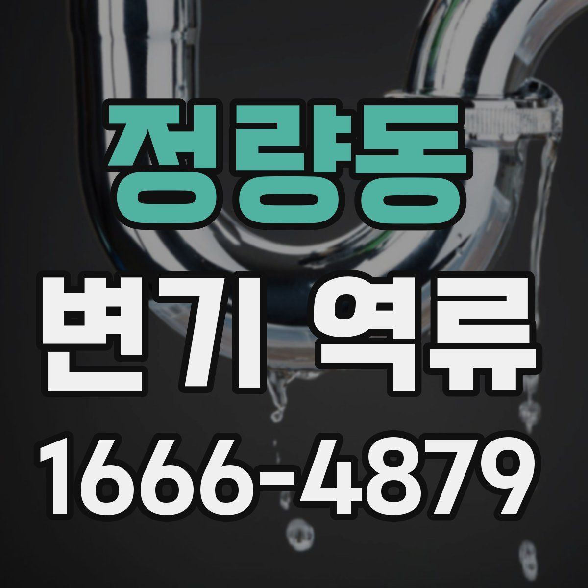 정량동 변기 역류