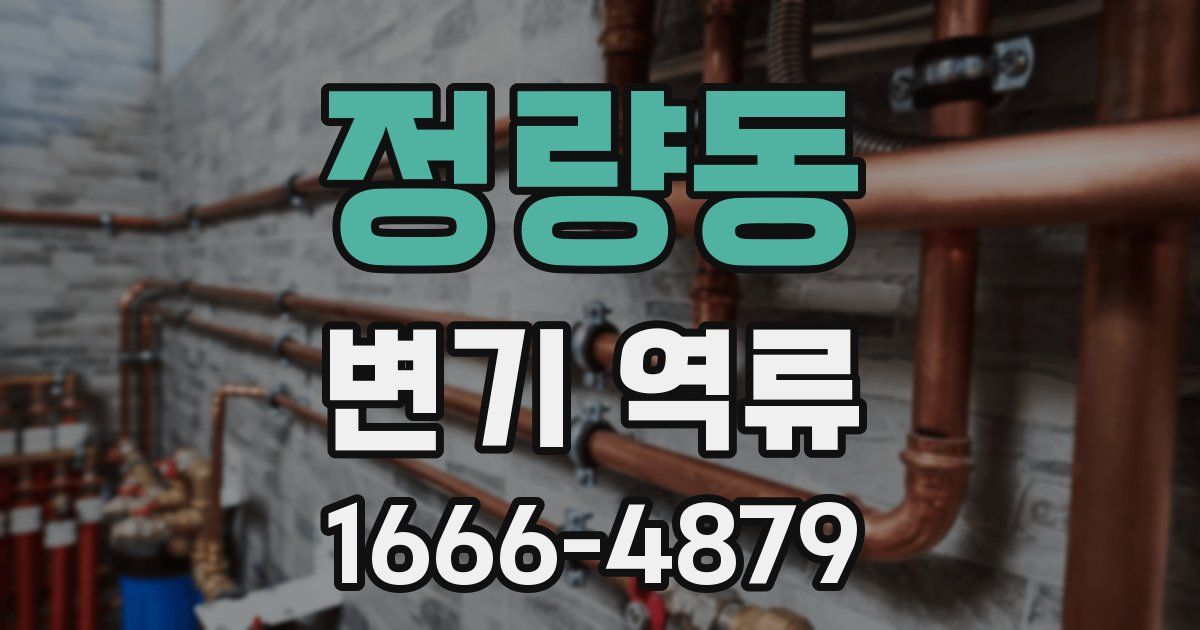 정량동 변기 역류