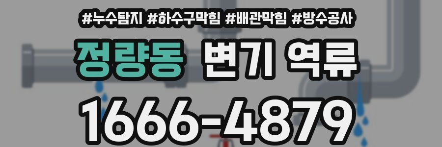 정량동 변기 역류