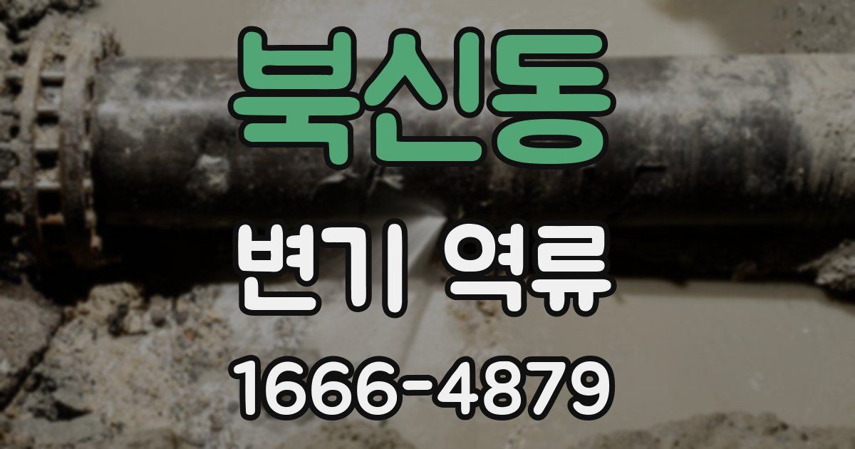 북신동 변기 역류