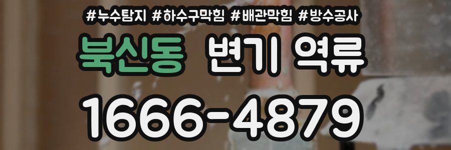 북신동 변기 역류