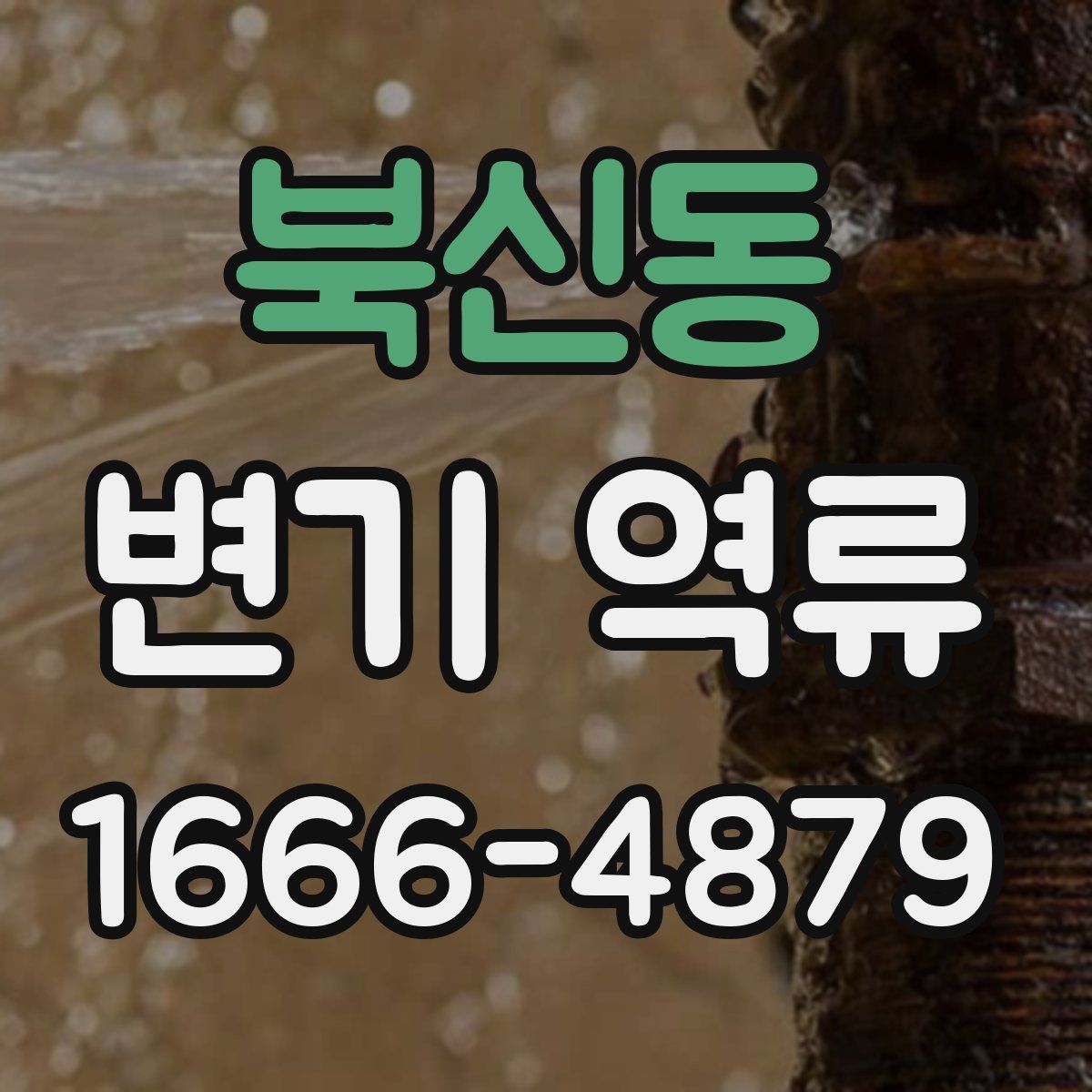 북신동 변기 역류