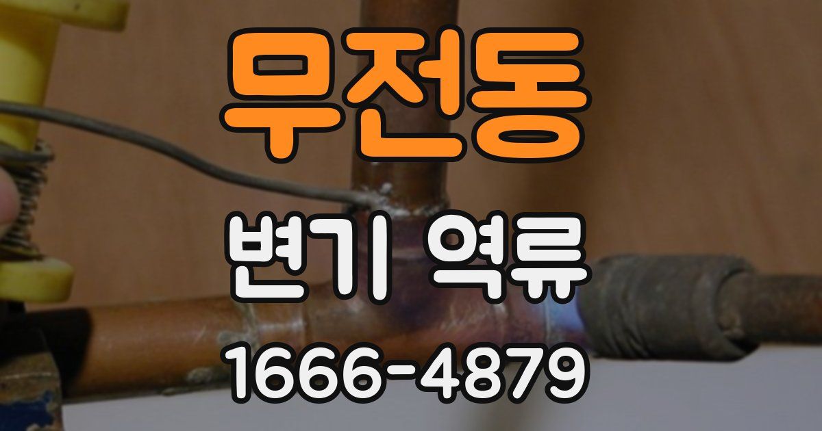 무전동 변기 역류