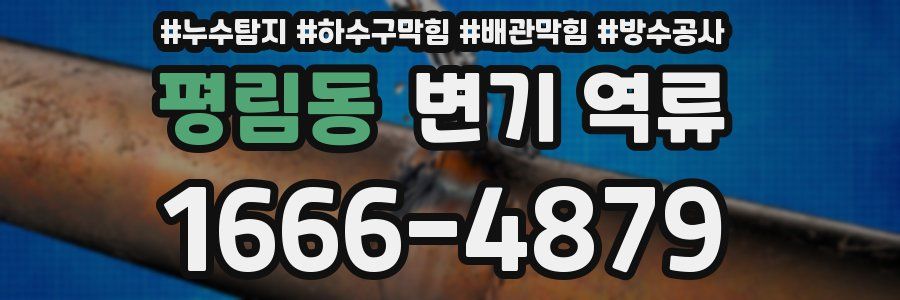평림동 변기 역류