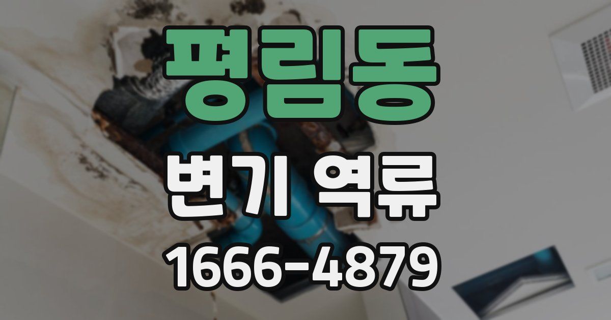 평림동 변기 역류