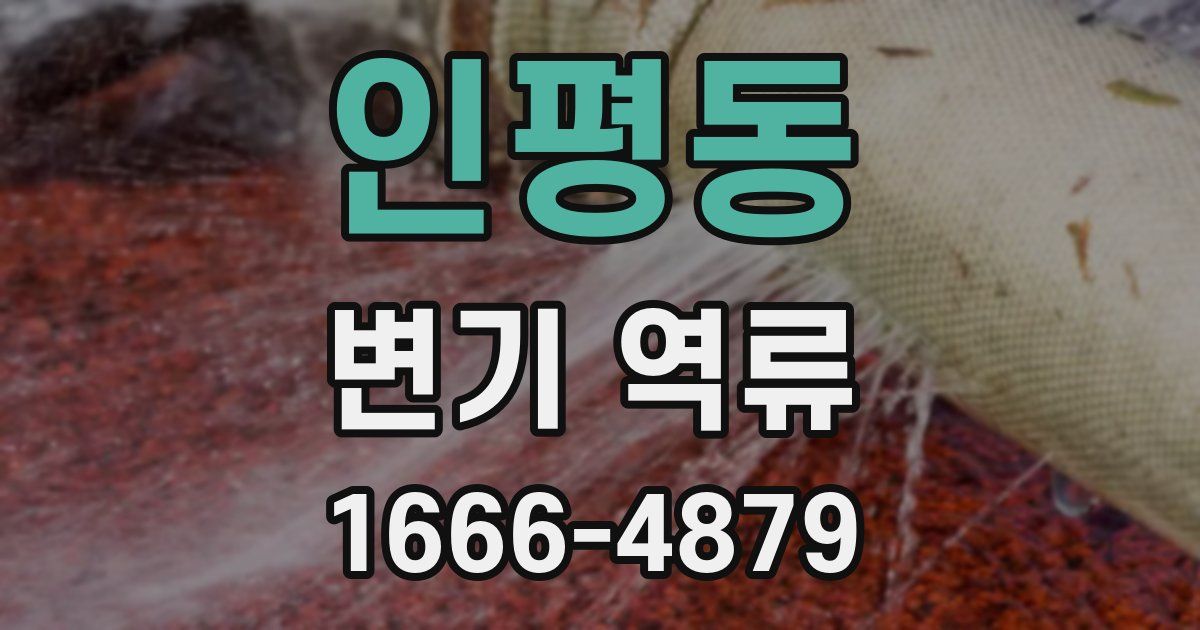 인평동 변기 역류