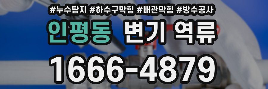 인평동 변기 역류