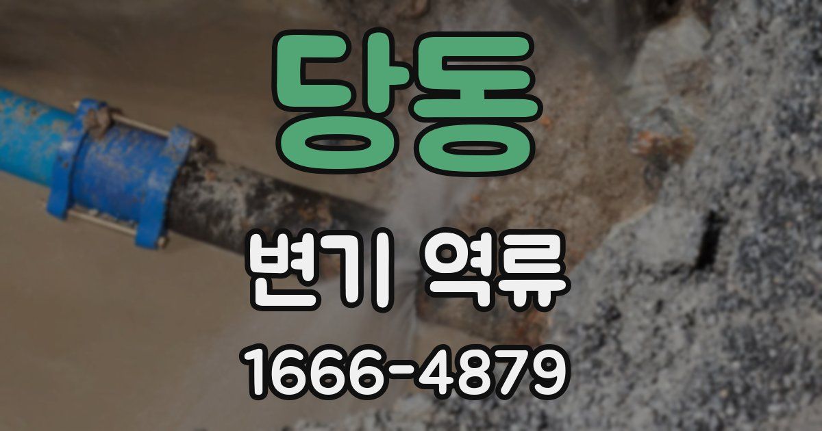 당동 변기 역류