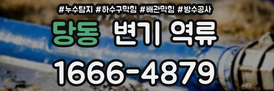 당동 변기 역류