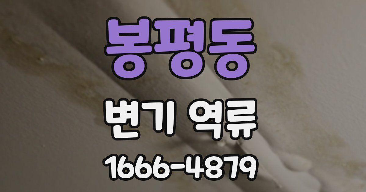 봉평동 변기 역류