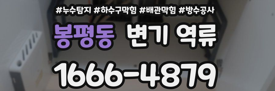 봉평동 변기 역류