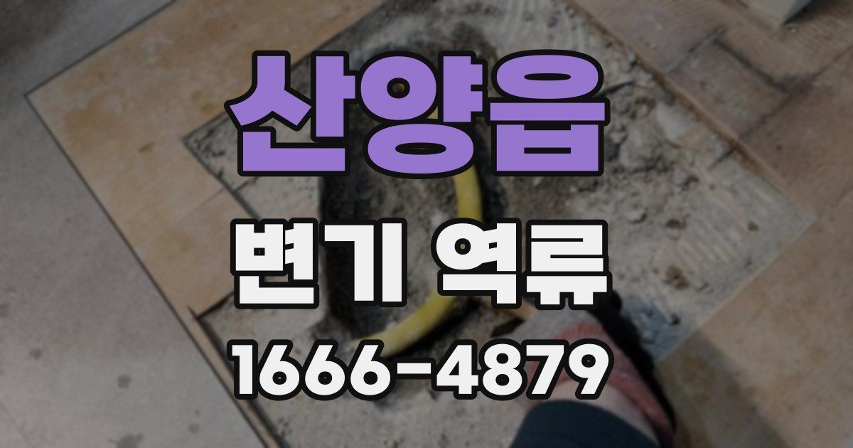 산양읍 변기 역류