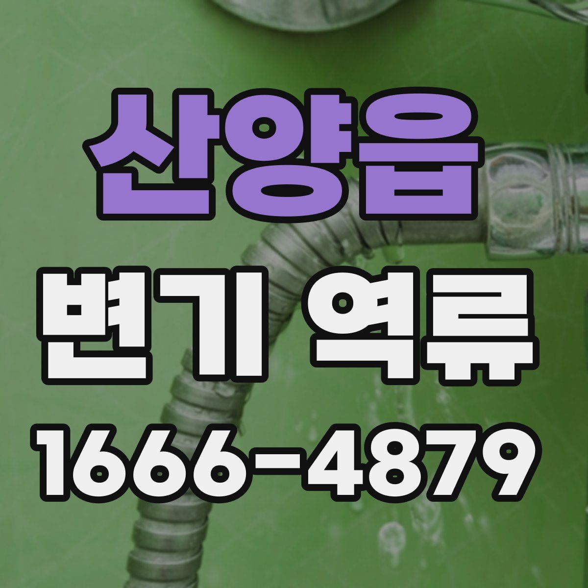 산양읍 변기 역류